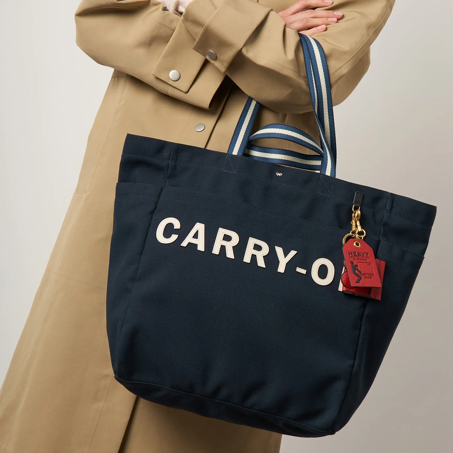 Carry-On Household Tote