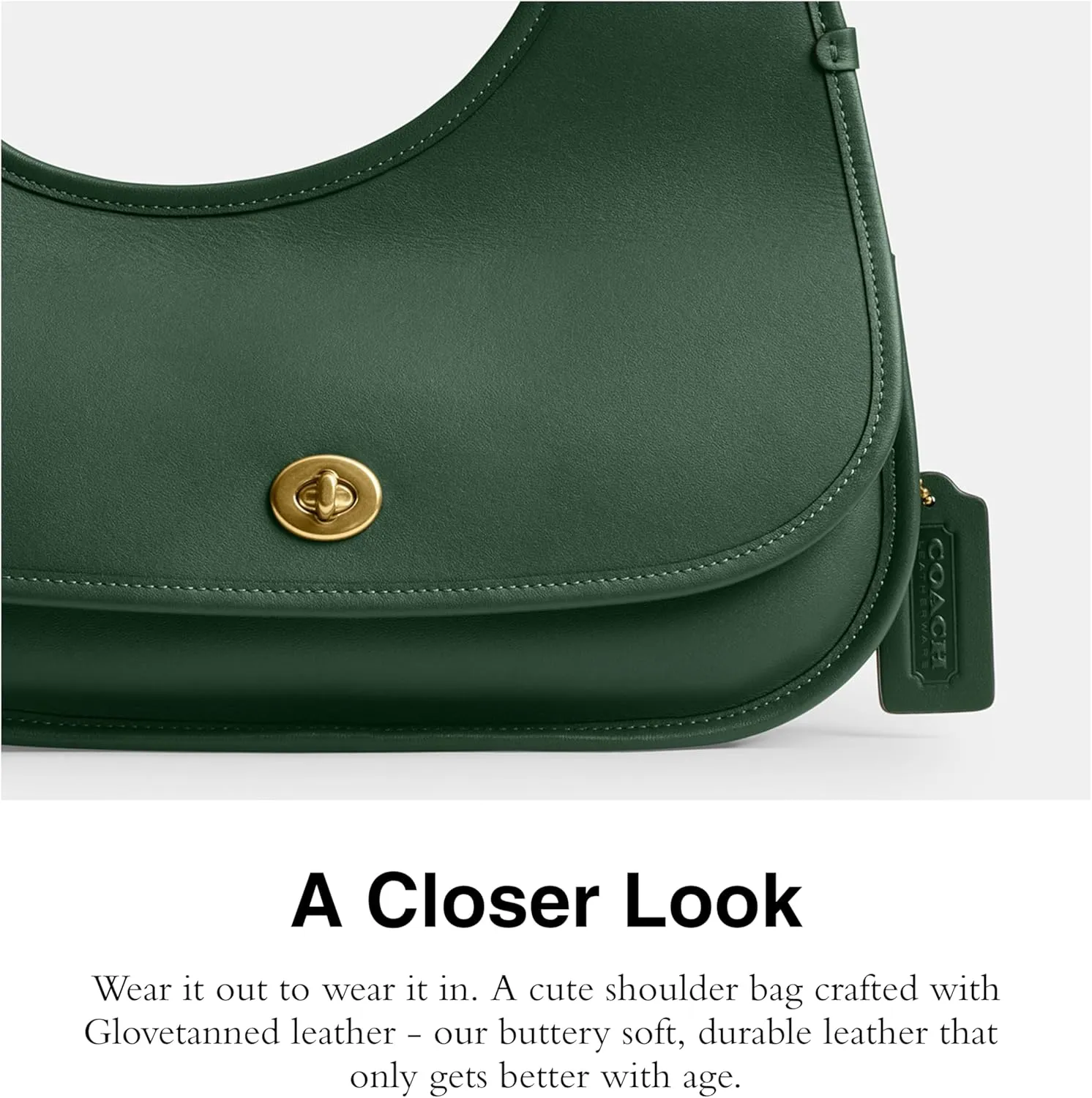 Coach Cashin Carry Crescent Bag