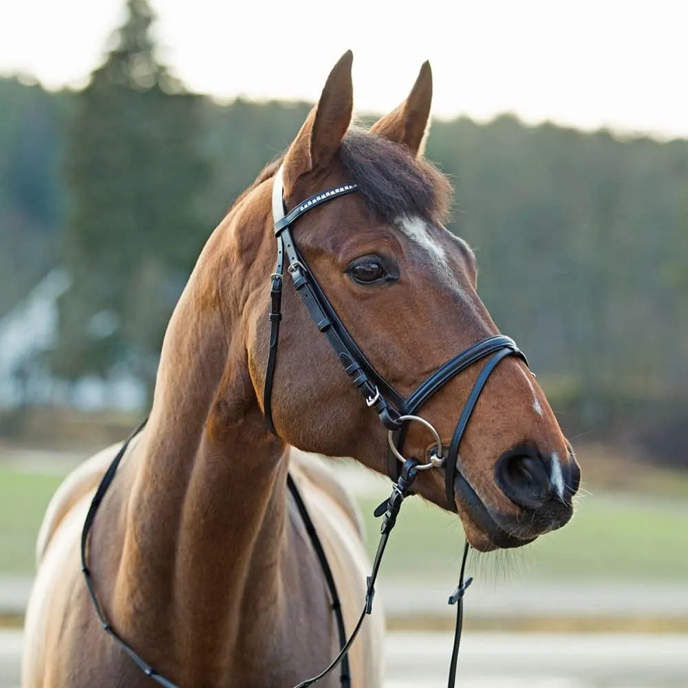 HORZE Weston Padded Leather Snaffle Bridle with Flash Noseband and Web Reins | English Bridle for Horses