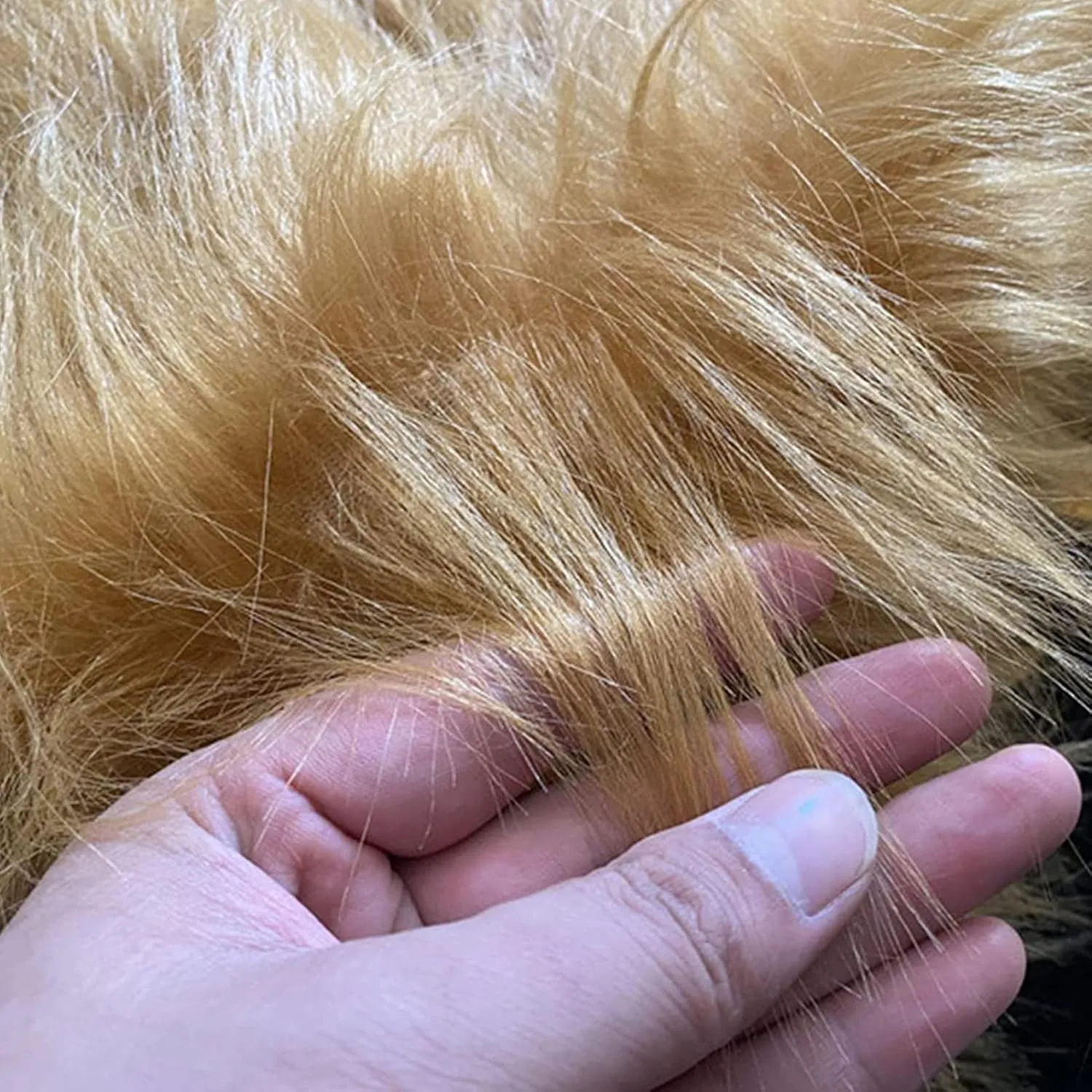 Plush Fabric Fluffy Artificial Fur Fabric Shaggy Long Pile Shaggy Faux Fur Patches Fabric Fuzzy Material Cuts Patches Craft DIY Supply Cos(Size:1.6x0.5m/62.9x19.6in,Color:Orange)