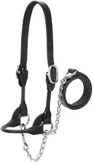 Weaver Leather Livestock Dairy/Beef Rounded Show Halter Black, Small