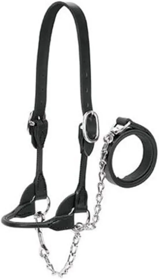 Weaver Leather Livestock Dairy/Beef Rounded Show Halter Black, Small