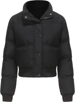 Women's Crop Puffer Vest Sleeveless Winter Cropped Stand Collar Warm Padded Puffer Jacket Lightweight Y2k with Pocket